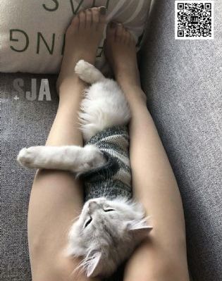 怦然心动五十_BD韩语全集免费播放